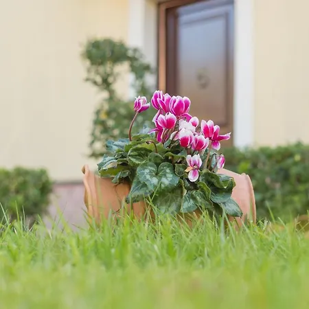 Bed & Breakfast Boutique Di Charme 