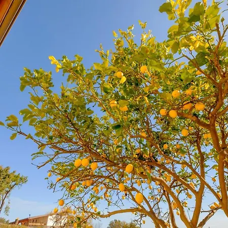 Boutique Di Charme Etna-relax-natura *